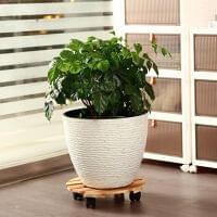 Eoan Wooden Planter Stand Round