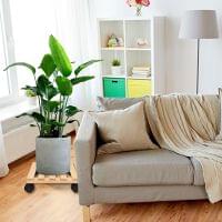 Eoan Wooden Planter Stand Square