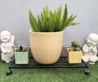 Eoan Rectangle Planter Stand With Lockable Wheels